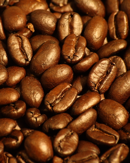 Coffee Beans Manufacturers In India